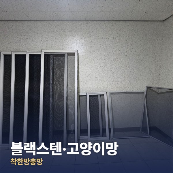 블랙스텐·고양이망